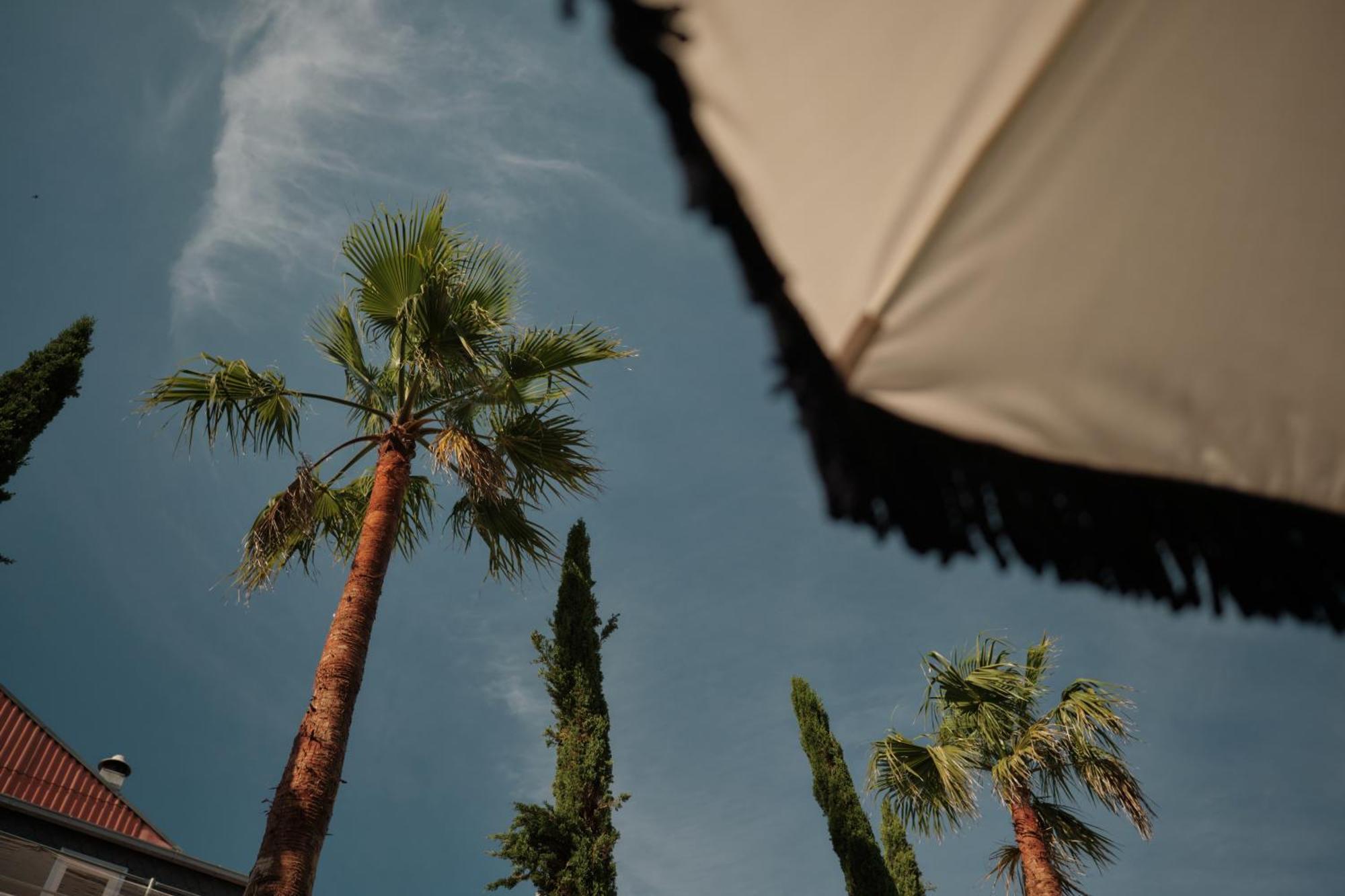 Ga Palace Hotel & Spa, A Xixth-Century Villa Порту Экстерьер фото Palm trees in the city